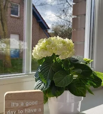 Hoppetosse Greetsiel