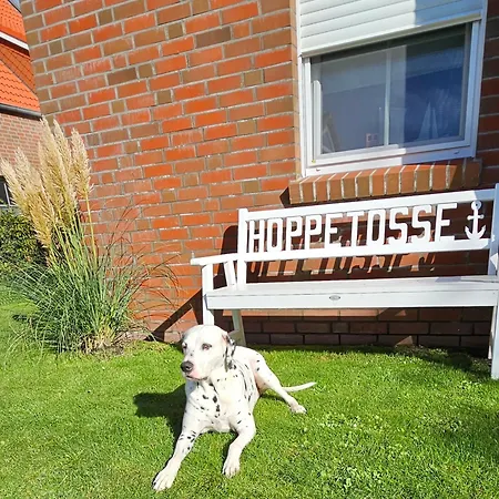 Hoppetosse Apartament *