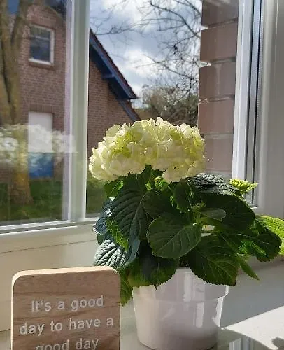 Hoppetosse グレートジール