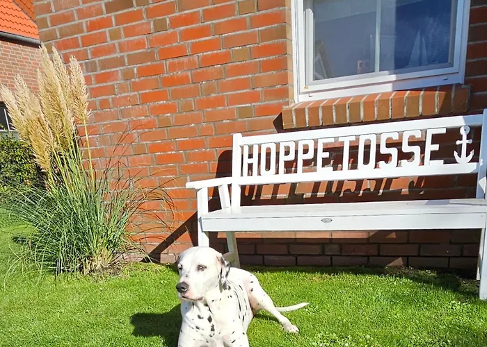 Hoppetosse アパート *